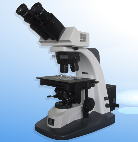 �о��������@΢�R XSP-12C�r��