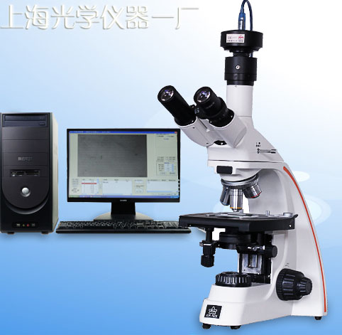 �@΢���۵ȼ�����ϵ�yYP-2�r��